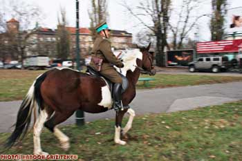 IMG_ (11141)